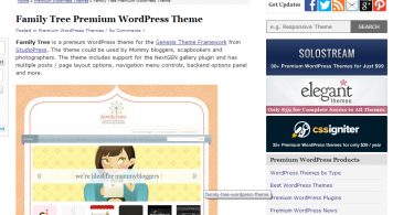 Wordpress theme for forex website
