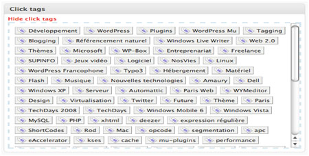 Tags in WordPress