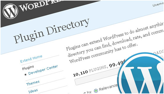 Use WordPress Plugins