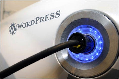 to Use WordPress Plugins
