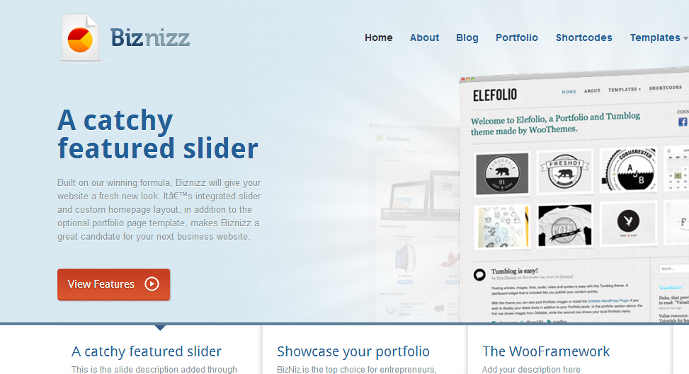 Biznizz WordPress Theme