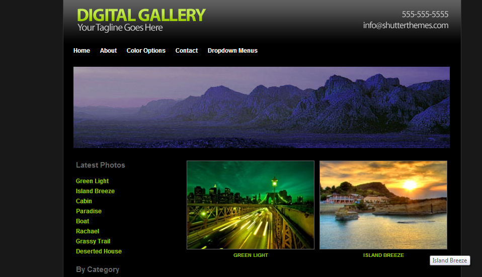 Digital Gallery WordPress Artist Templates