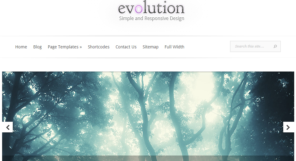 Evolution WordPress Theme