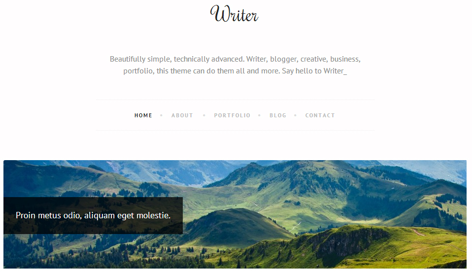 Writer – A WordPress Theme