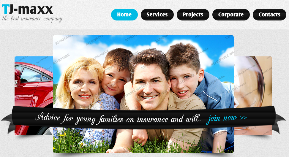 Tj-maxx Insurex Website theme