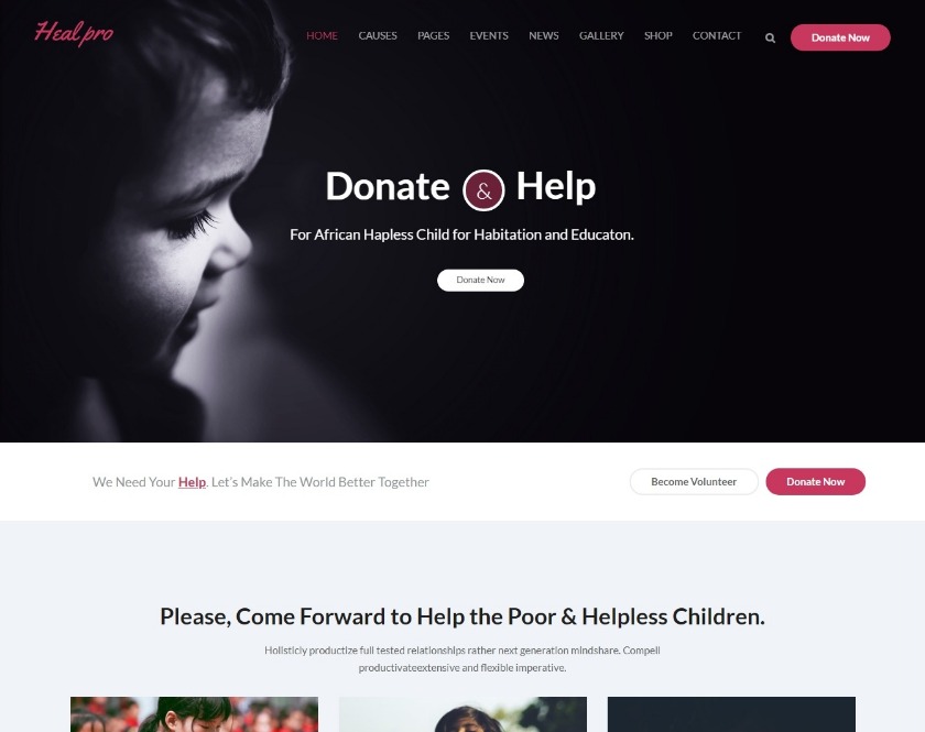 Heal Pro Philanthropy, NGO, Non-Benefit Association WordPress Theme