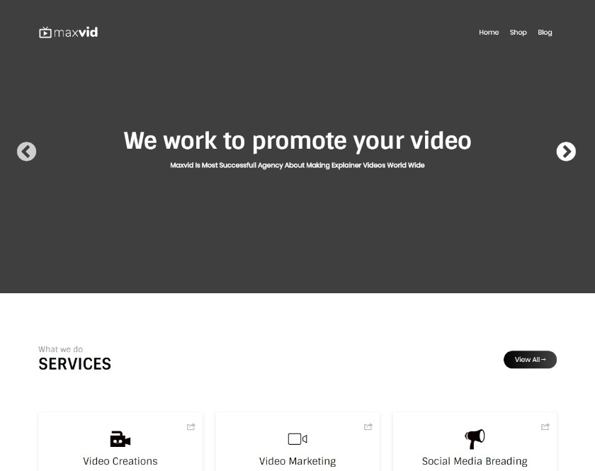 MaxVid Straightforward and Negligible Video Organization WordPress Theme