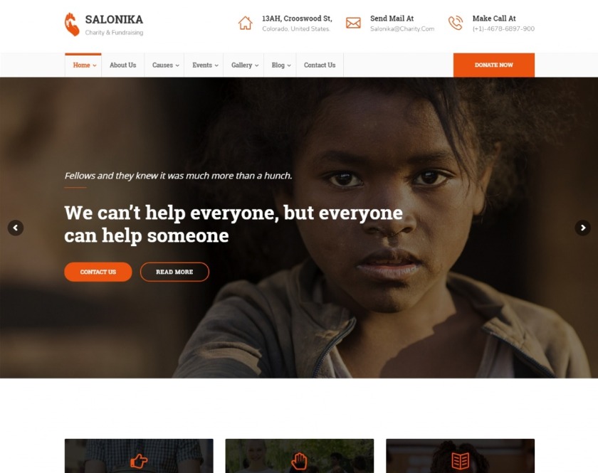 Salonika Non-Benefit NGO WordPress Theme
