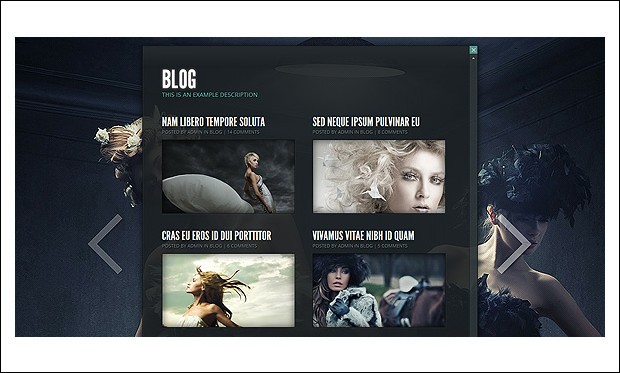 Gleam - Grid Styled WordPress Themes