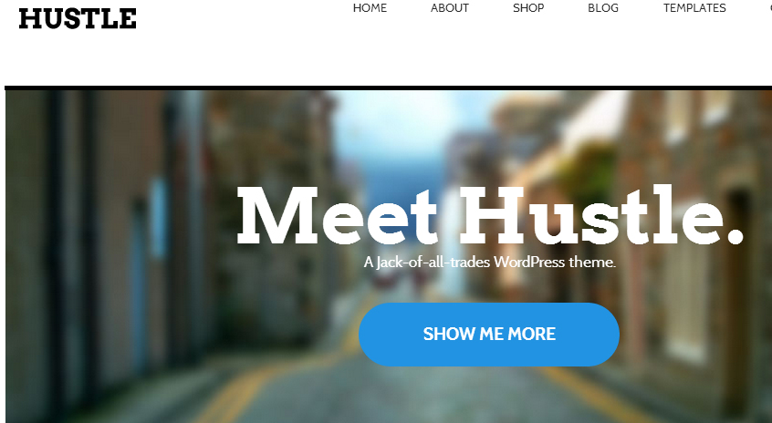 Hustle - Brand New WordPress Themes