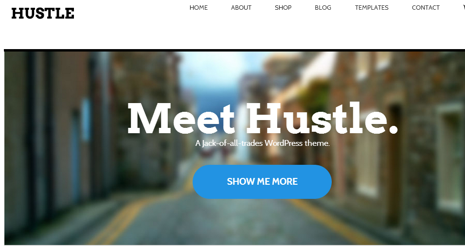 Hustle - Grid Style WordPress Themes