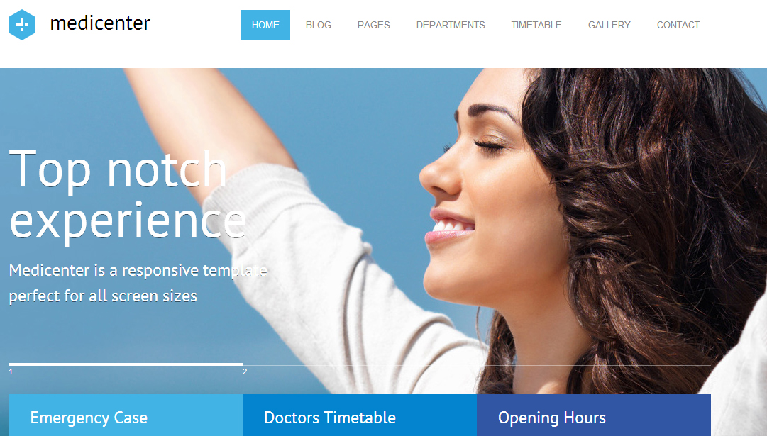 Medicenter Acupuncture WordPress Template