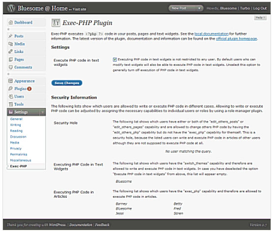 PHP Code in WordPress