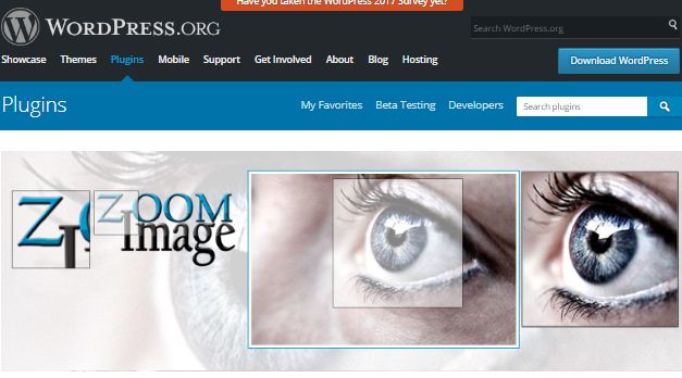 Zoom Image WordPress Plugin 