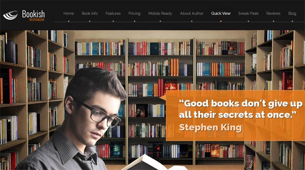 WordPress Template for Book Authors, Marketers Websites
