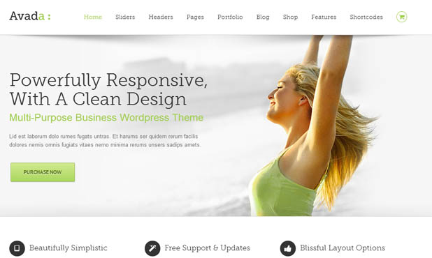 Avada - Responsive WordPress Theme