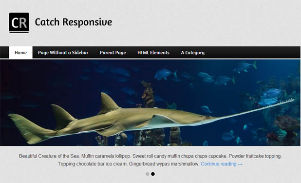 Catch Responsive - Responsive WordPress Theme
