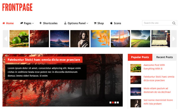 FrontPage - WooCommerce WordPress Template