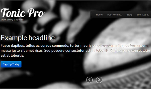 Tonic Pro - Responsive WordPress Theme