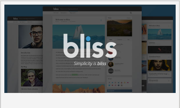 Bliss - Minimalist WordPress Themes
