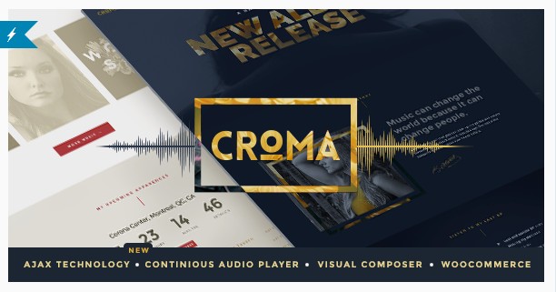 35+ Professional WordPress Themes for Musicians Croma