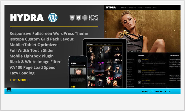 Hydra -Full Screen WordPress Theme