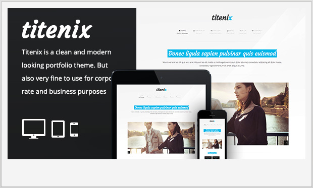 Titenix - wordpress theme for attorneys