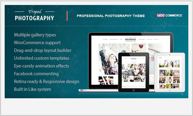 Tripod - Photographers WordPress Theme
