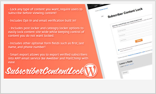 Subscriber content for Lock -WordPress Newsletter Plugin