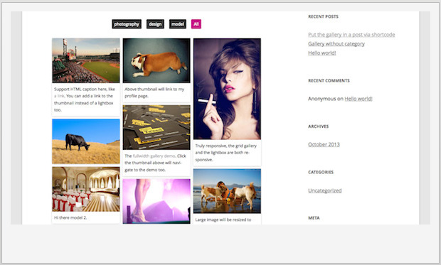 Responsive Pinterest Grid Gallery -Pinterest WordPress Plugin