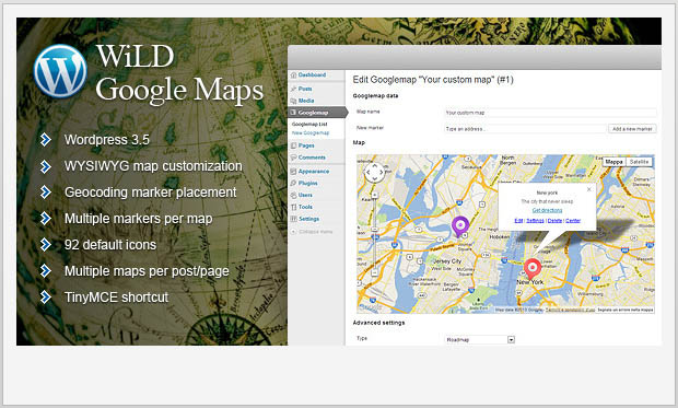 WiLD Google Maps Plugin