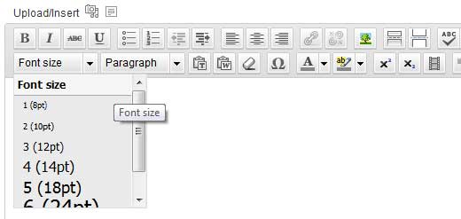 Alter The Font Size in Your WordPress Posts