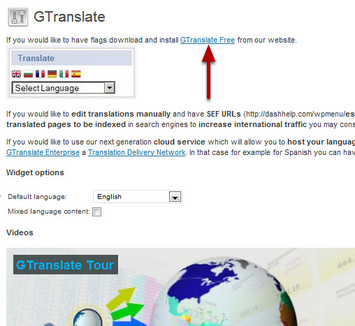 Automatic Translation for Your WordPress Through Gtranslate