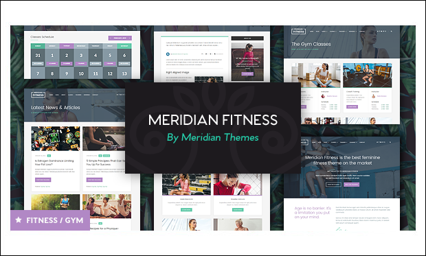 Meridian Fitness - Stylish 2 Column WordPress Themes