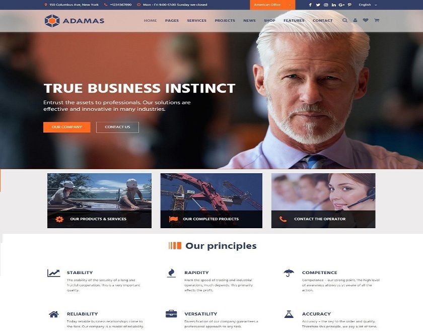 Adamas - Propelled Business WordPress Theme 