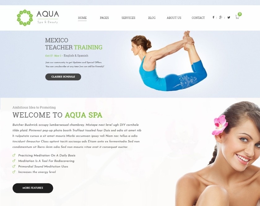 Aqua WordPress Spa Theme