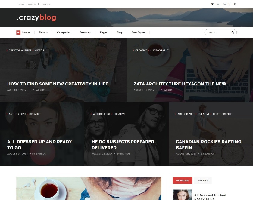 CrazyBlog Adsense Optimized Blog WordPress Theme