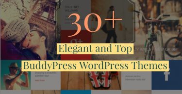 Elegant-and-Top-BuddyPress-WordPress-Themes
