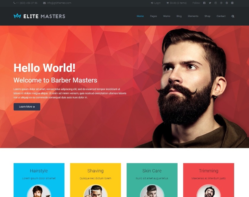 EliteMasters Multipurpose WordPress Theme