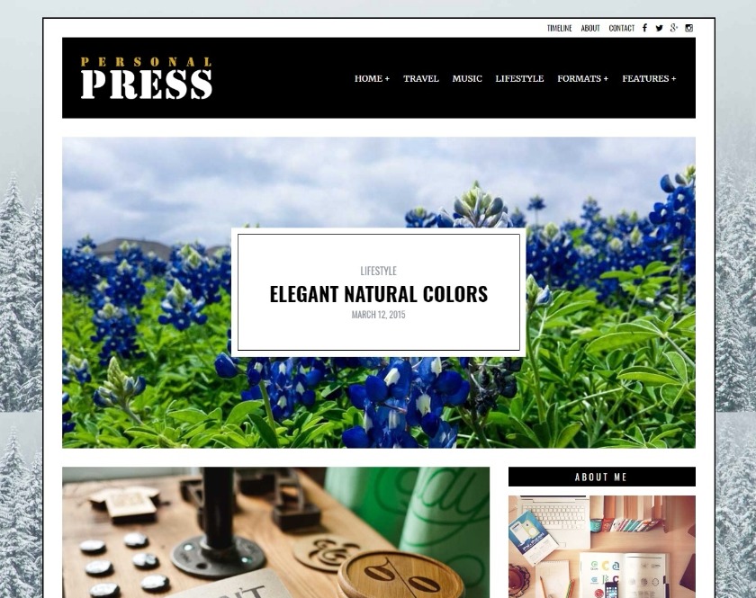 Press Imaginative WordPress Blog Theme