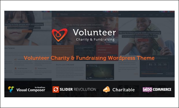 Volunteer - WordPress Themes for Charities and Non-Profit Organizations