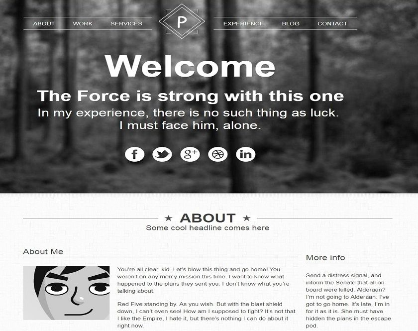 Viewpoint - Solitary Responsive Portfolio WordPress theme 