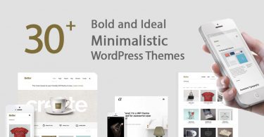 30 Bold and Ideal Minimalistic WordPress Themes