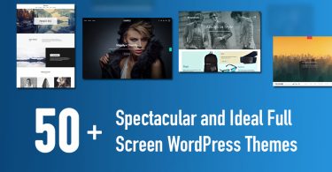50 Spectacular and Ideal Full Screen WordPress Themes