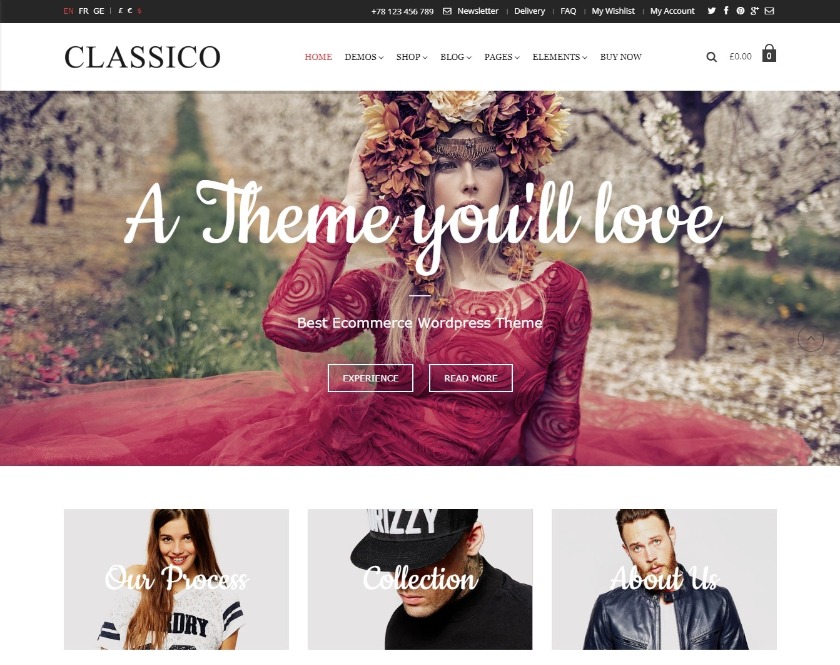 Classico E-commerce Business WordPress Theme