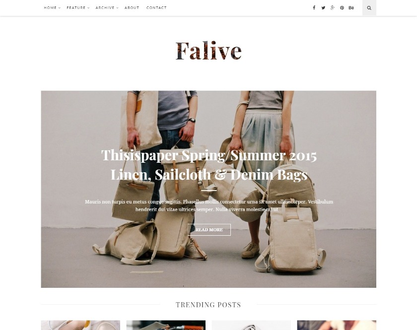 Falive Responsive Blog WordPress Theme