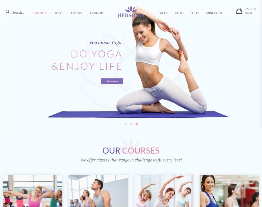 Hermosa exclusive yoga wordpress theme
