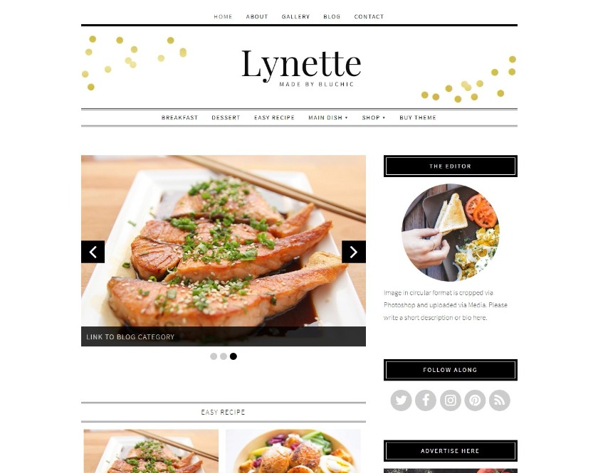 Lynette Powerful and Responsive WordPress Theme