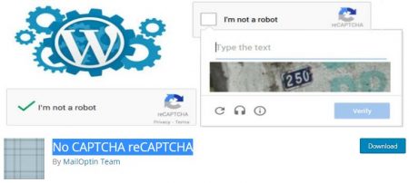 No CAPTCHA reCAPTCHA