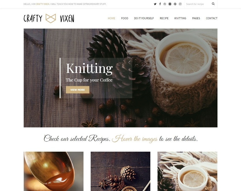 Vixen Blog Responsive DIY WordPress Blog Theme